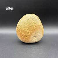 画像2788